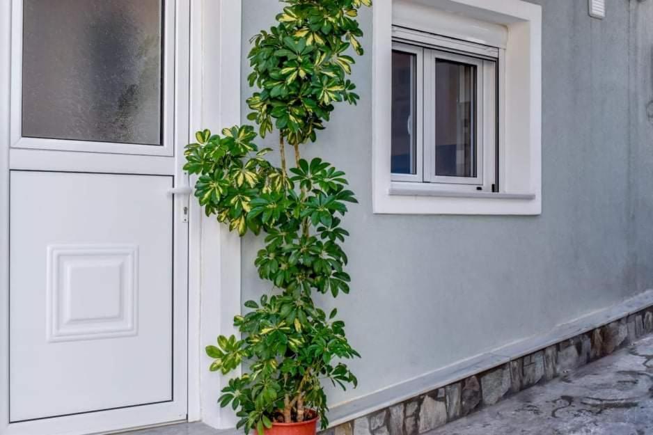 Ferienwohnung Klaidis House Skiathos-Stadt Exterior foto